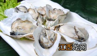 带壳的牡蛎怎么煮