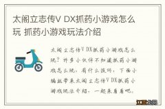 太阁立志传V DX抓药小游戏怎么玩 抓药小游戏玩法介绍