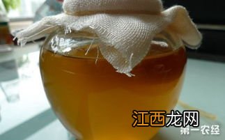 红茶菌母菌怎么制作