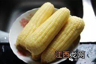 鲜玉米煮多久