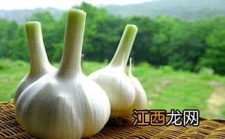 大蒜怎么做出味