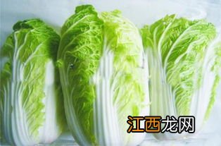 大白菜.怎么保存