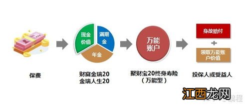 投保财富鑫生年金保险需要注意哪些细节问题？