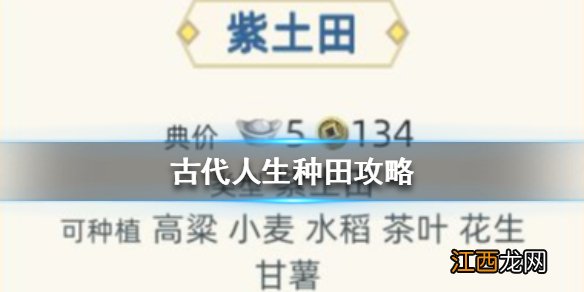 古代人生种田攻略 全土地种植收益查询