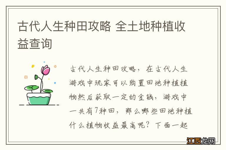 古代人生种田攻略 全土地种植收益查询