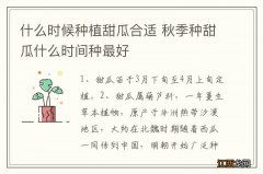 什么时候种植甜瓜合适 秋季种甜瓜什么时间种最好