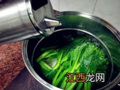 菜心要煮多久