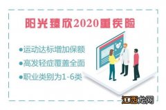 阳光臻欣2020和平安福20有哪些区别？