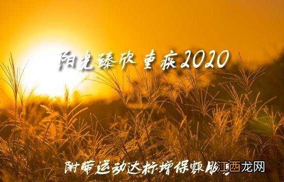 阳光臻欣2020的等待期是多久？