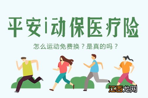 平安i动保是什么保险？