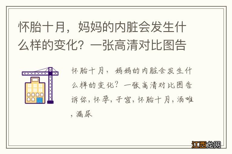 怀胎十月，妈妈的内脏会发生什么样的变化？一张高清对比图告诉你