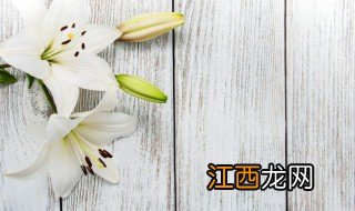 百合花有什么特点 百合花有什么特点和品质