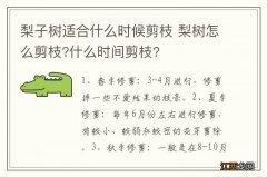 梨子树适合什么时候剪枝 梨树怎么剪枝?什么时间剪枝?