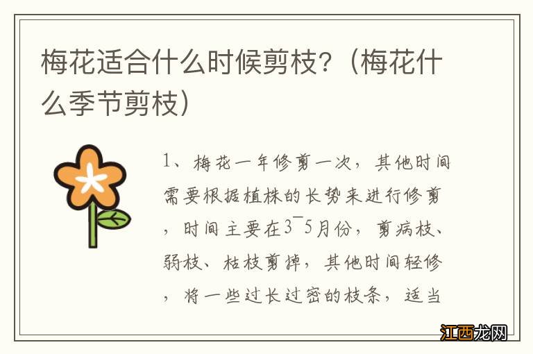 梅花什么季节剪枝 梅花适合什么时候剪枝?