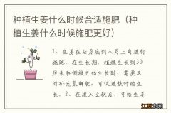 种植生姜什么时候施肥更好 种植生姜什么时候合适施肥