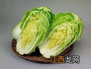 大白菜怎么煮好吃视频教程