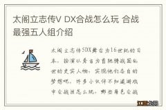 太阁立志传V DX合战怎么玩 合战最强五人组介绍