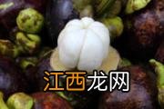 蕨菜发苦怎么回事 蕨菜发苦还能吃吗