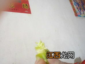 葱籽怎么吃好