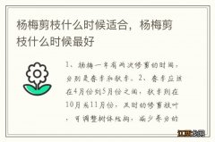 杨梅剪枝什么时候适合，杨梅剪枝什么时候最好