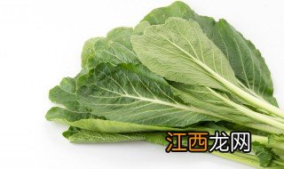 包心芥菜什么时候播种 芥菜什么时候播种