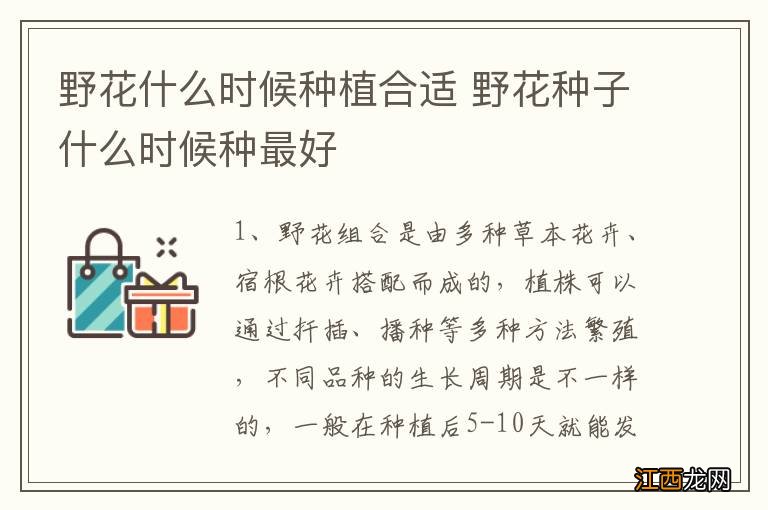 野花什么时候种植合适 野花种子什么时候种最好