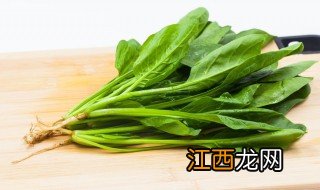 菠菜什么时候种植比较合适 种植菠菜什么时候合适