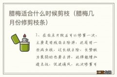 腊梅几月份修剪枝条 腊梅适合什么时候剪枝