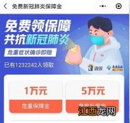 支付宝新冠肺炎呼吸重疾险哪家保险公司的？