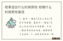 柑果适合什么时候剪枝 柑橘什么时候剪枝最佳