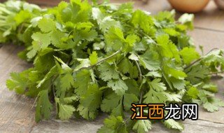 香菜啥时候种最合适 种植香菜什么时候最合适