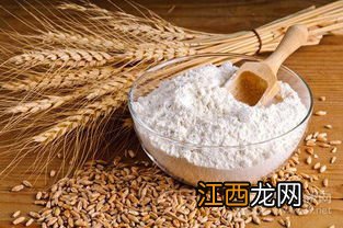 小麦面粉可以做什么食物