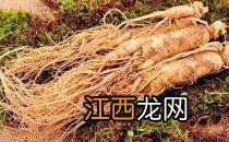 盘点中医常用的5种美容药物