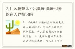 为什么腾蛇认不出昊辰 昊辰和腾蛇在天界相识吗