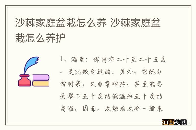 沙棘家庭盆栽怎么养 沙棘家庭盆栽怎么养护