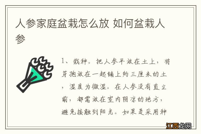 人参家庭盆栽怎么放 如何盆栽人参