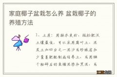 家庭椰子盆栽怎么养 盆栽椰子的养殖方法