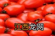 榴莲核的功效与作用