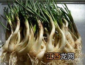 酸荞头的腌制多久