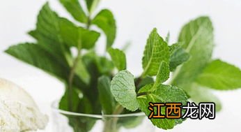 薄荷叶可以做什么甜点