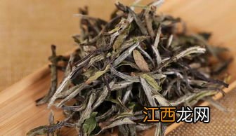 大树白茶 怎么泡