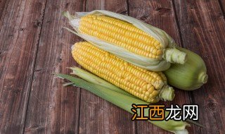 玉米秋种什么时候 秋天的玉米现在可以种吗