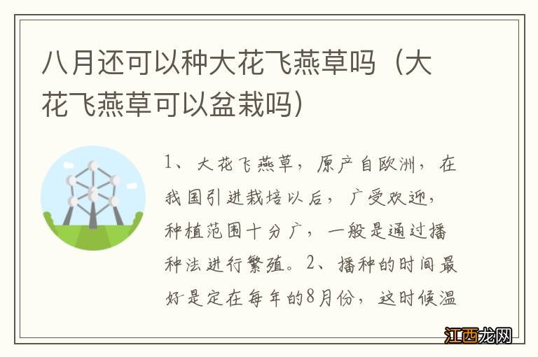 大花飞燕草可以盆栽吗 八月还可以种大花飞燕草吗