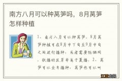 南方八月可以种莴笋吗，8月莴笋怎样种植