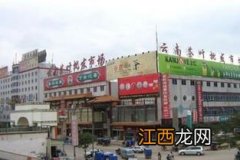 金实茶叶批发市场怎么样