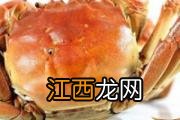 夏威夷果好吃吗 怎样挑选夏威夷果