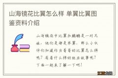 山海镜花比翼怎么样 单翼比翼图鉴资料介绍