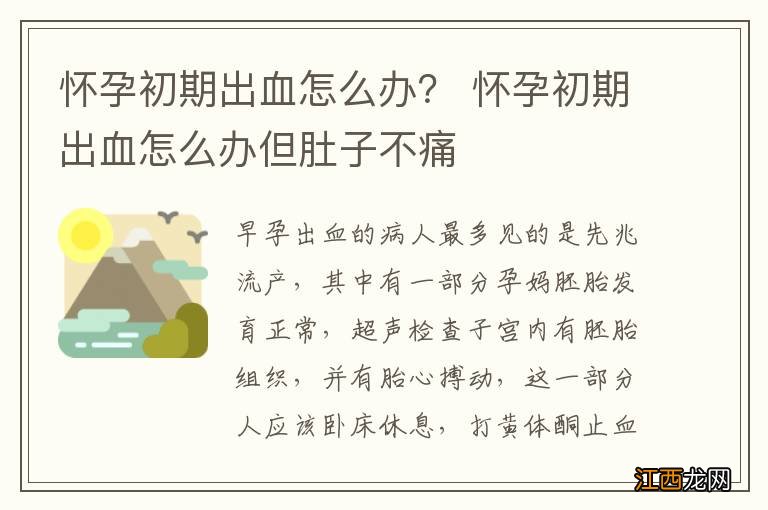 怀孕初期出血怎么办？ 怀孕初期出血怎么办但肚子不痛