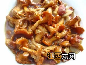 鸡油菌配什么炒好吃