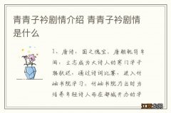 青青子衿剧情介绍 青青子衿剧情是什么